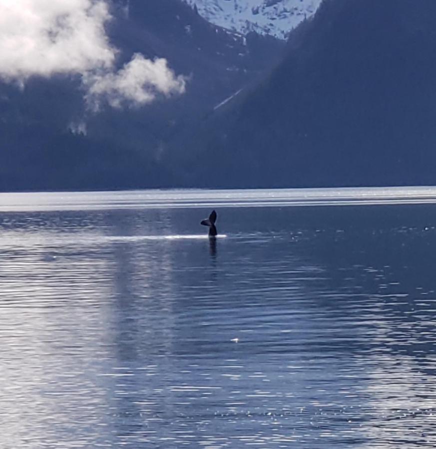 Resurrection Lodge On The Bay Seward Buitenkant foto